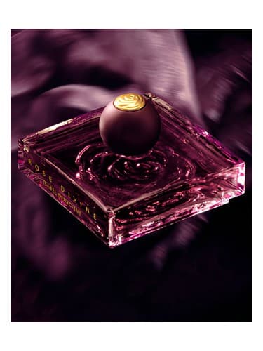 Rose Divine - رز دیواین