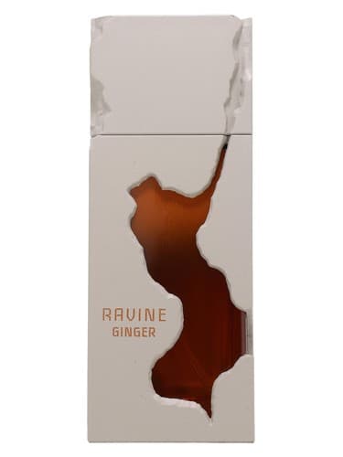 Ravine Ginger - راوین جینجر