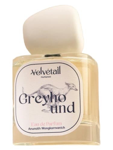 Greyhound - تازی