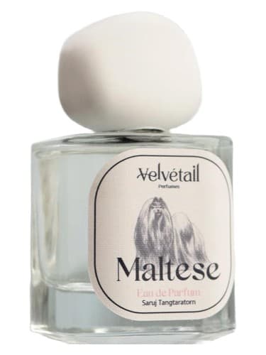 Maltese