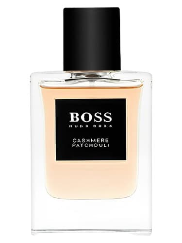 BOSS The Collection Cashmere & Patchouli - BOSS The Collection کشمیر و پاتچولی
