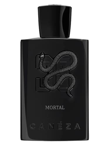 Mortal - فانی