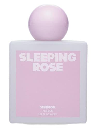 Sleeping Rose - رز خفته