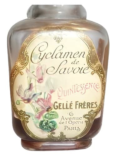 Cyclamen de Savoie - سیکلامن دو ساووا