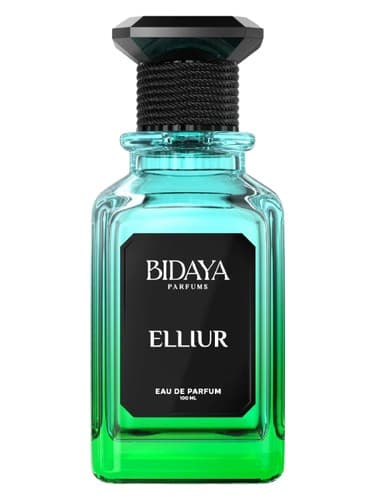 Elliur - الیور