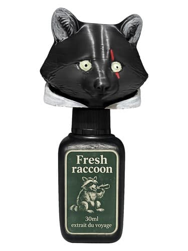 Fresh Racoon - راکون تازه