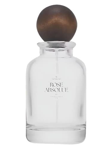 Rose Absolue