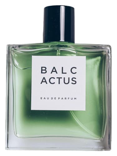 BALCACTUS - بالکاکتوس