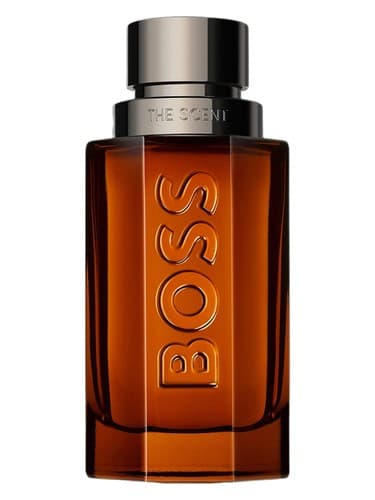 Boss The Scent Eau de Parfum Intense - باس د سنت او دو پارفوم اینتنس