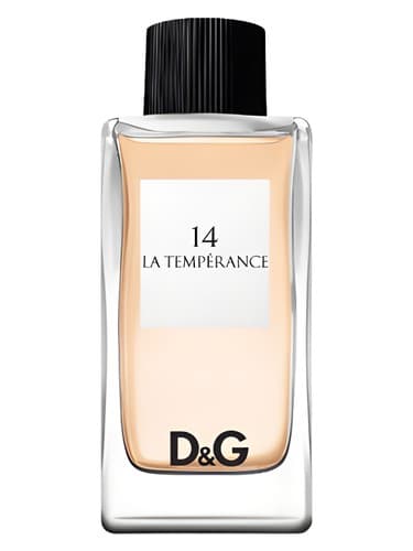 D&G Anthology La Temperance 14 - دی اند جی آنتولوژی لا تمپرنس ۱۴