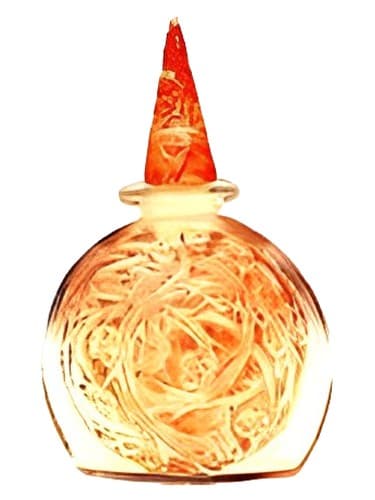Ambre de Siam (original) - Ambre de Siam (اصلی)