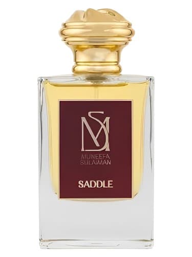 Saddle - زین
