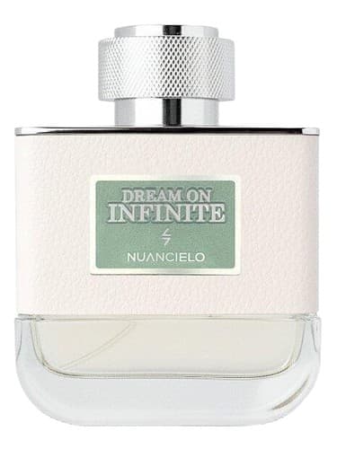 Dream On Infinite
