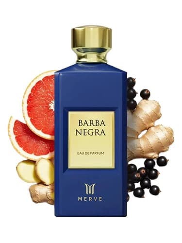 Barba Negra - باربا نگرا