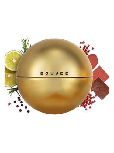 Boujee - بوجی