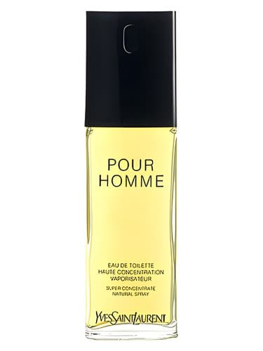 Yves Saint Laurent Pour Homme Haute Concentration - ایو سن لوران پور هوم اوت کانسنترشن