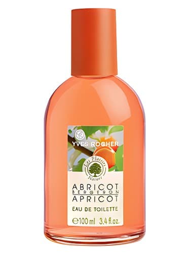 Abricot Bergeron - ابریکو برژرون