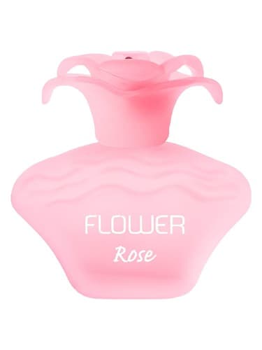 Flower Rose - گل رز