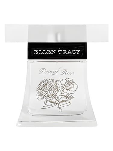 Peony Rose - گل صد تومانی رز