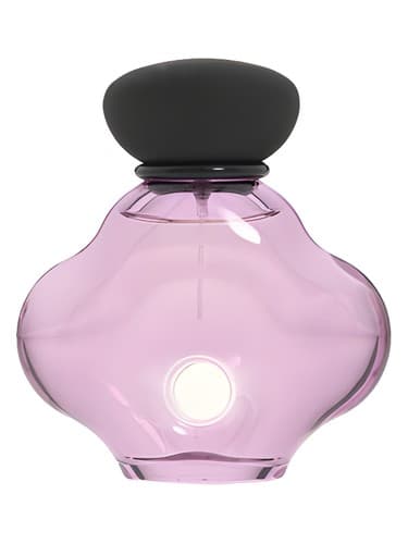 Natori Eau de Toilette - ادو تویلت ناتوری
