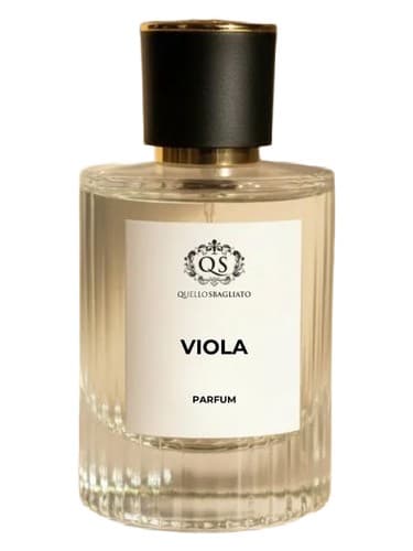Viola