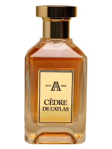 Cèdre de l’Atlas 