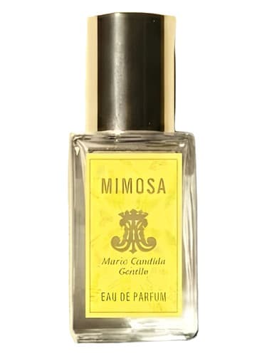 Mimosa - میموزا