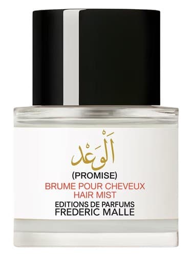 Promise Hair Mist - وعده مه مو