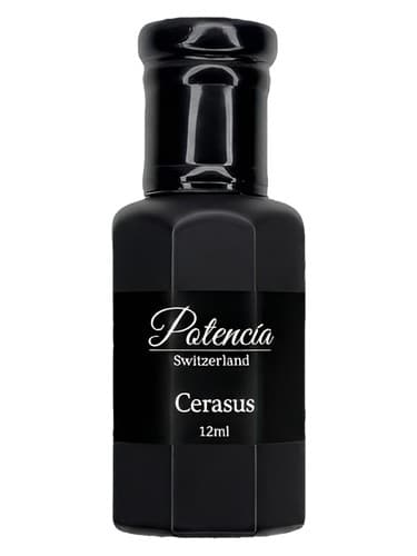 Cerasus - سراسوس