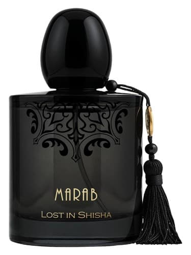 Lost In Shisha