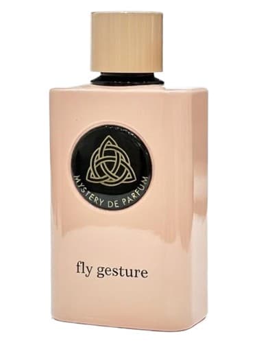 Fly Gesture - ژست پرواز