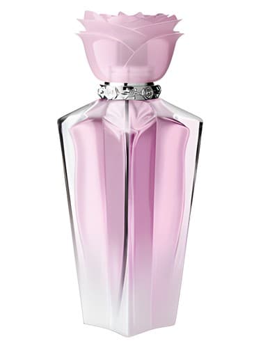 Wild Rose - وایلد رز