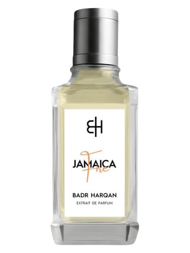 Jamaica Fire