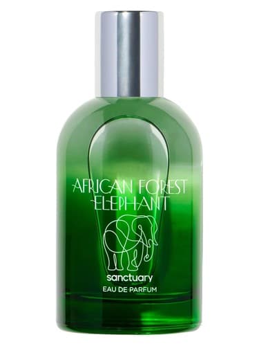 African Forest Elephant - فیل جنگلی آفریقایی