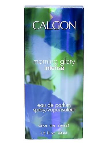 Morning Glory - مورنینگ گلوری