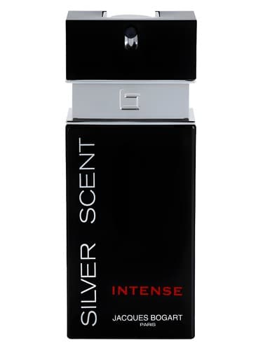 Silver Scent Intense - سیلور سنت اینتنس