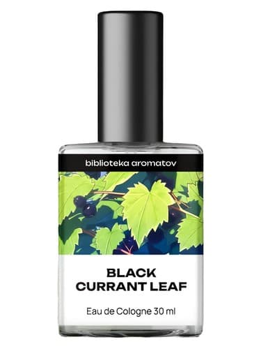 Black Currant Leaf