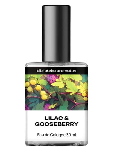 Lilac and Gooseberry - یاس وایولت و انگور فرنگی