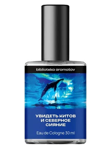 Watching whales and the northern lights (Увидеть китов и северное сияние)