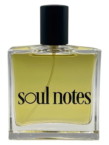 Soul Notes - یادداشت های روح
