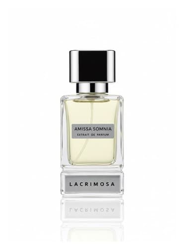 Amissa Somnia
