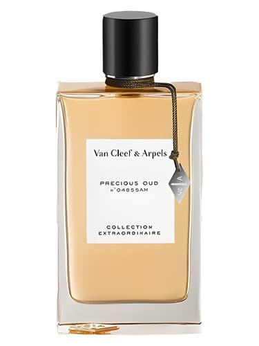 Precious Oud - پریشس عود