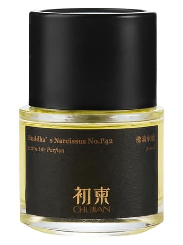 Buddha‘s Narcissus No.P42 佛前水仙 - نرگس بودا شماره P42 佛前水仙
