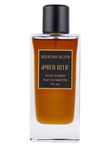 Amber Relic - یادگار امبر
