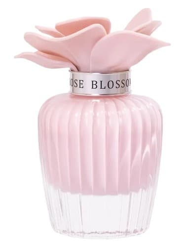 Nasma Rose Blossom - نسما گل رز