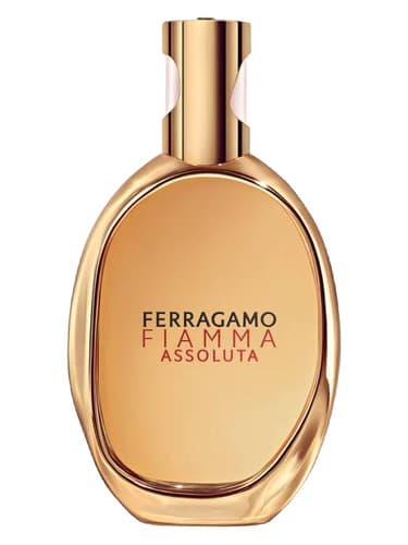 Fiamma Assoluta - فیاما آسسولوتا