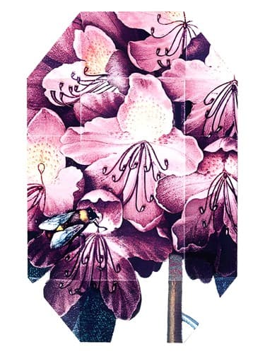 Print Collection Stella 01 (2011) - مجموعه چاپی Stella 01 (2011)
