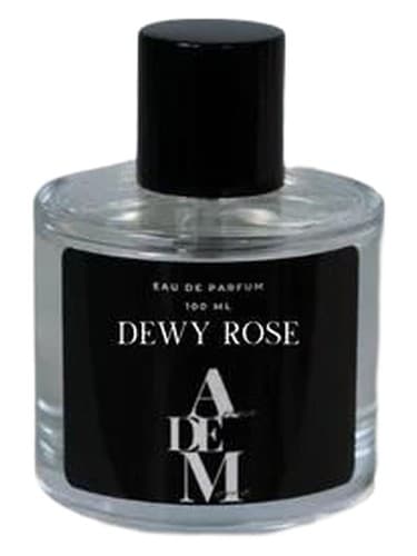 Dewy Rose - دیوی رز