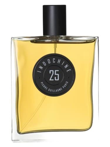 Indochine 25