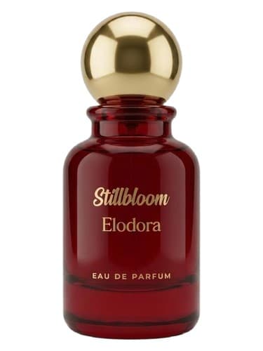Stillbloom - استیل شکوفه